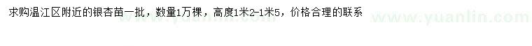 求購高1.2-1.5米銀杏