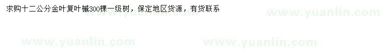 求購12公分金葉復葉槭
