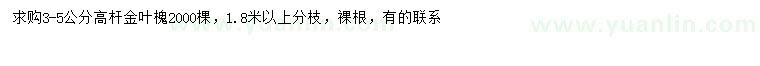 求購(gòu)3-5公分高桿金葉槐