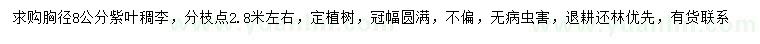求購胸徑8公分紫葉稠李