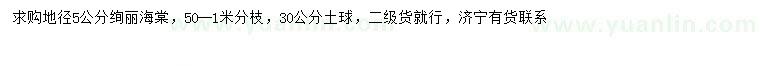 求購地徑5公分絢麗海棠
