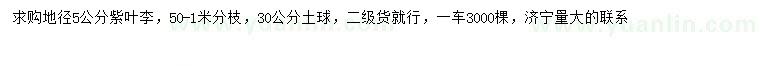 求購(gòu)地徑5公分紫葉李