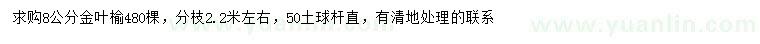 求購8公分金葉榆