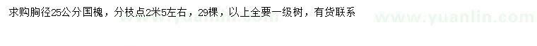求購胸徑25公分國槐