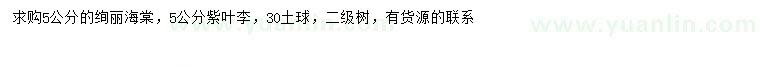 求購5公分絢麗海棠、紫葉李