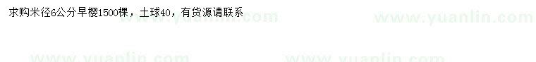 求購(gòu)米徑6公分早櫻
