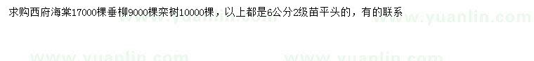 求購西府海棠、垂柳、欒樹