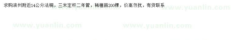求購14公分法桐