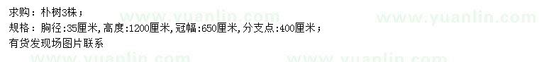 求購(gòu)胸徑35公分樸樹(shù)