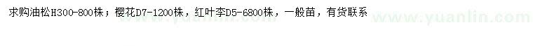 求購油松、櫻花、紅葉李