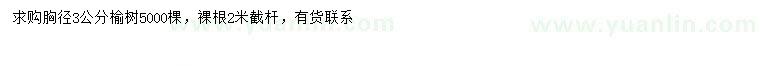 求購胸徑3公分榆樹