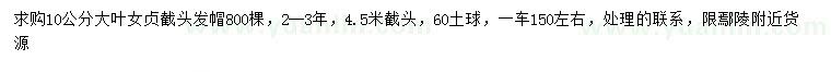 求購10公分大葉女貞