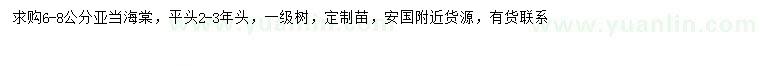 求購6-8公分亞當(dāng)海棠