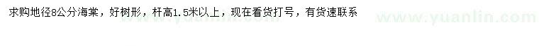 求購地徑8公分海棠