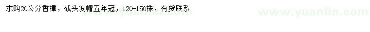 求購20公分香樟