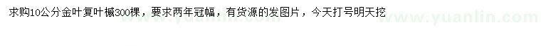 求購10公分金葉復(fù)葉槭