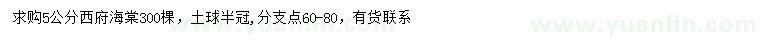 求購5公分西府海棠