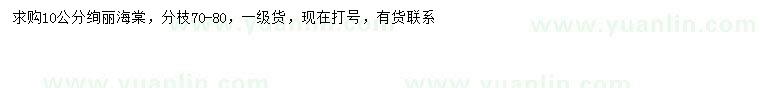 求購10公分絢麗海棠
