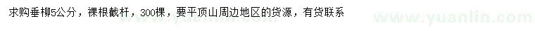求購5公分垂柳