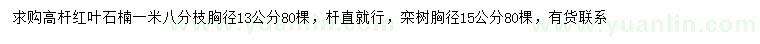 求購胸徑13公分高桿紅葉石楠、欒樹