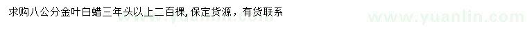 求購8公分金葉白蠟