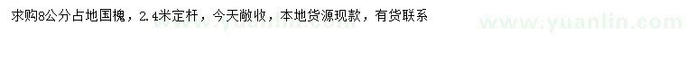 求購(gòu)8公分國(guó)槐