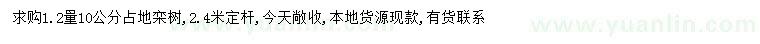 求購(gòu)1.2米量10公分欒樹(shù)