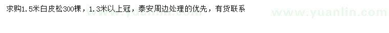 求購1.5米白皮松