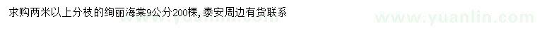 求購9公分絢麗海棠