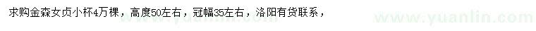 求購高50公分左右金森女貞