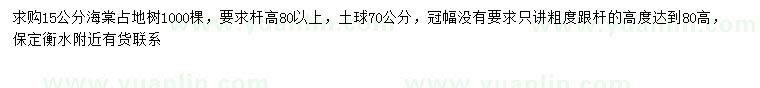 求購15公分海棠