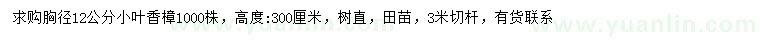 求購胸徑12公分小葉香樟