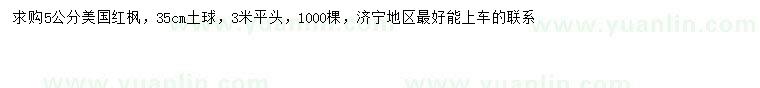 求購5公分美國紅楓