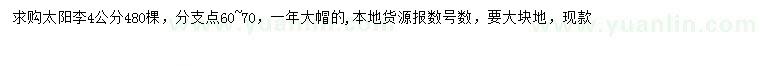 求購(gòu)4公分太陽(yáng)李