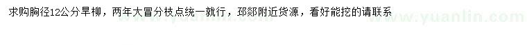 求購胸徑12公分旱柳