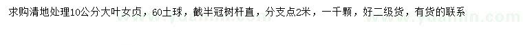 求購10公分大葉女貞