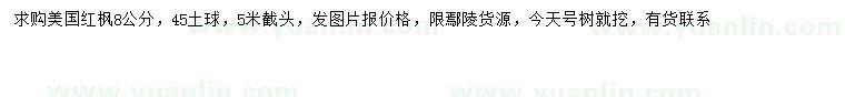 求購8公分美國紅楓