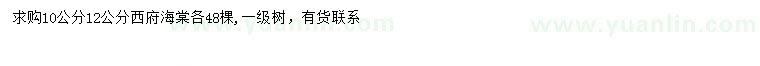 求購10、12公分西府海棠
