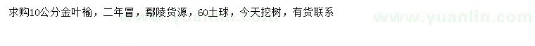 求購(gòu)10公分金葉榆