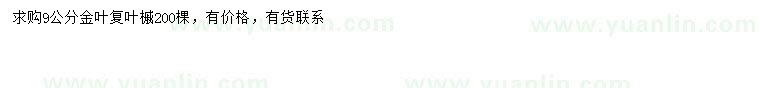 求購9公分金葉復葉槭