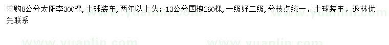 求購8公分太陽李、13公分國槐
