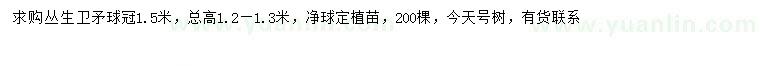 求購(gòu)冠幅1.5米叢生衛(wèi)矛球