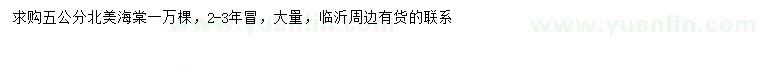 求購5公分北美海棠