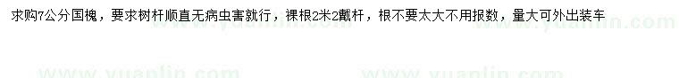 求購7公分國槐