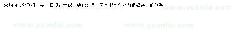 求購14公分垂柳