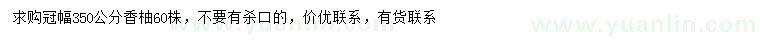 求購冠幅350公分香柚