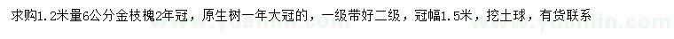 求購1.2米量6公分金枝槐