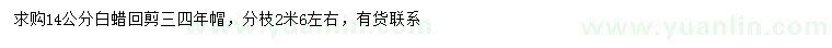 求購14公分白蠟