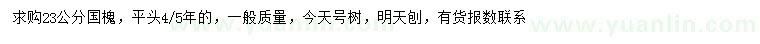 求購23公分國槐