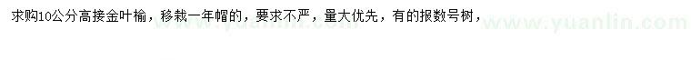 求購10公分高接金葉榆